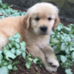 Meet your Posher, Katherine